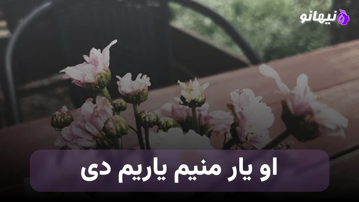 دانلود آهنگ او یار منیم یاریم دی ترکی